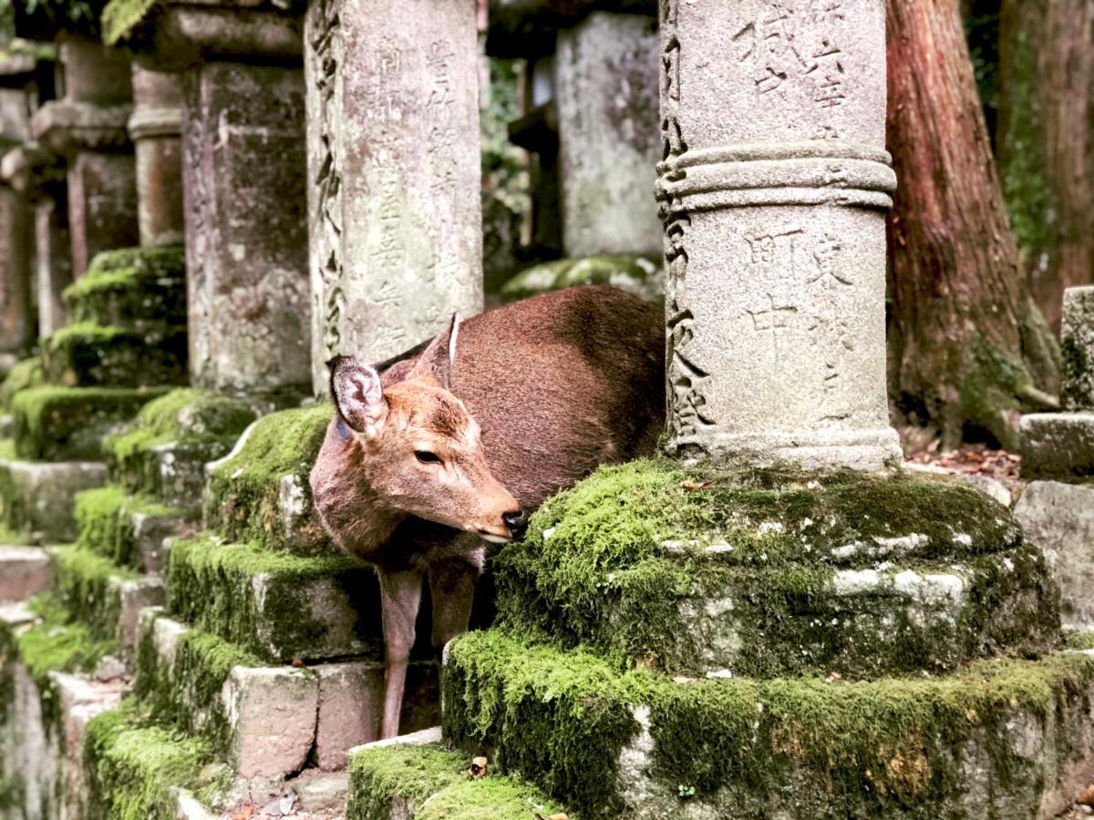 Ryokan Asukasou At The Entrancne Of Nara Park Kültér fotó